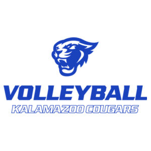 District Tri-Blend T-Shirt - Volleyball Design