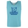 Garment-Dyed Heavyweight Tank Top Thumbnail